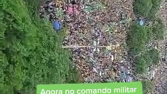 Intervenção Militar Brasil Rio de Janeiro SP 02/11/202