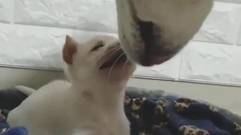 Her mother wants to kiss her.