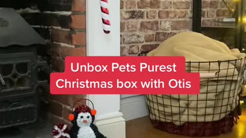 Potential can not make, blessing can not enjoy,