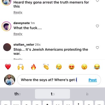 Hamas sympathizers capital insurrection