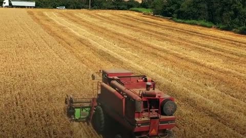 Farmers in the United States are preparing themselves for the upcoming El Niño phenomenon