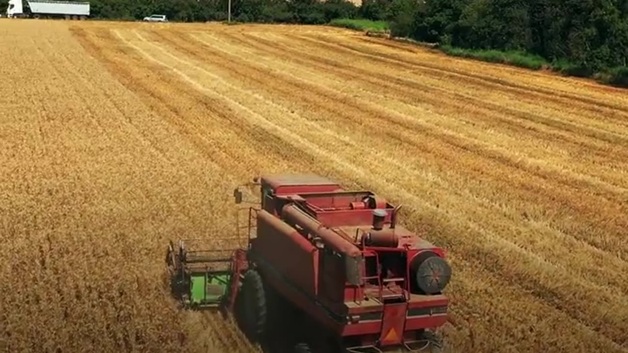 Farmers in the United States are preparing themselves for the upcoming El Niño phenomenon
