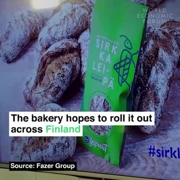 The WEF touts "insect bread"—containing 70 crushed crickets in each loaf 🤮