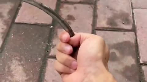 fun