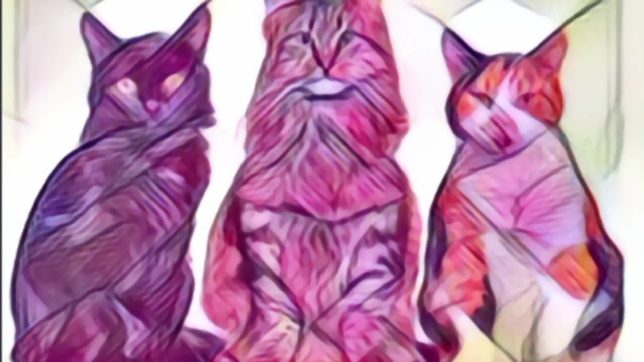 Digitalart cat || i will create a cartoon image for you