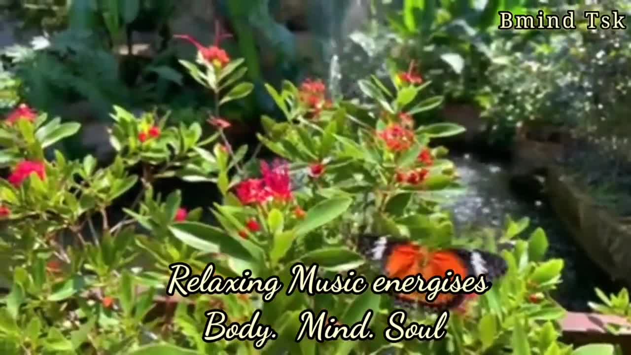 Relaxing Music | Sleeping, Meditation, Stress Relief | [6583] ⭐️