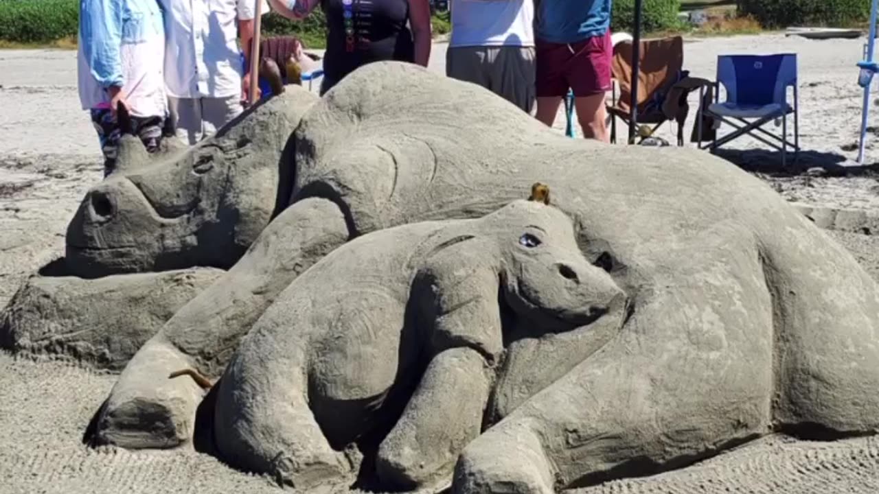 🦏 "Mesmerizing Rhino Sand Sculpture Timelapse!"