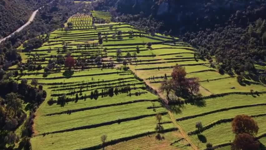 A 4K relaxation film called "Beauty Of Nature"