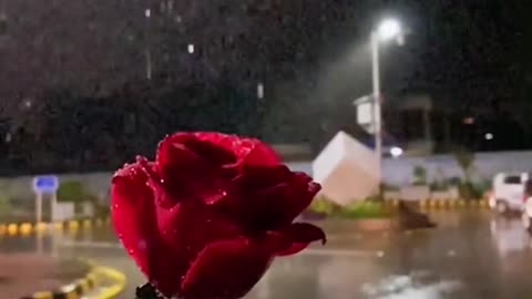 Rainy Weather plus Night view