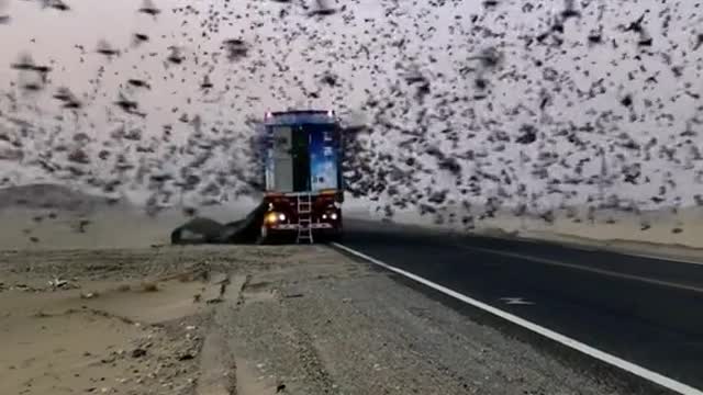 Let's go for sky