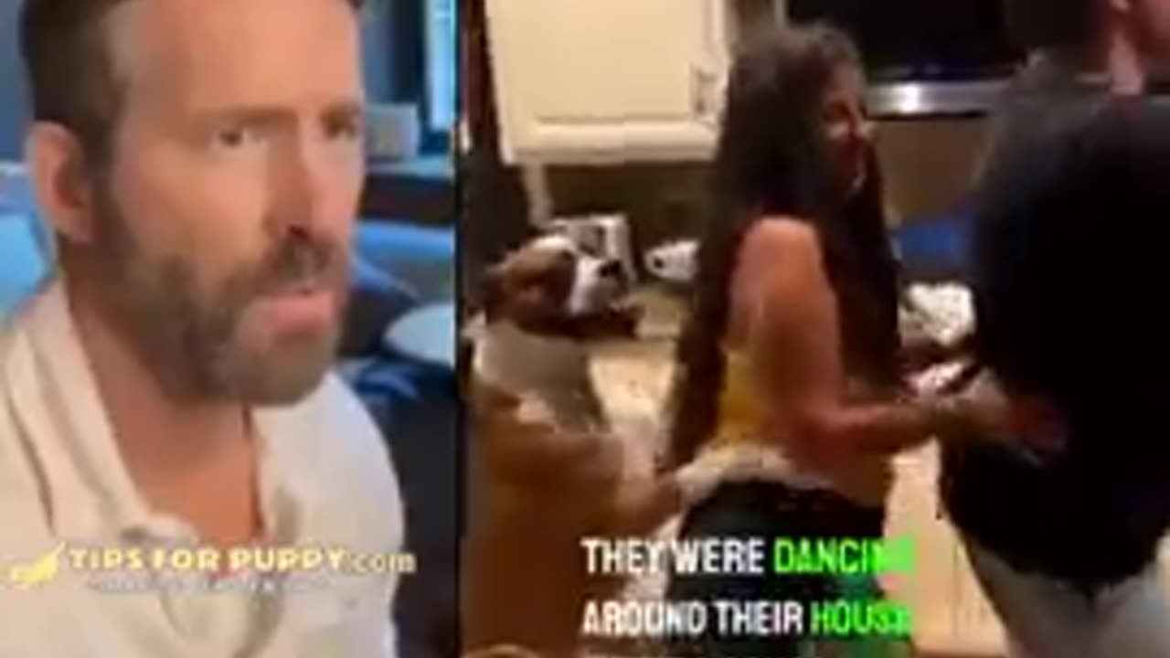 This Dog Started To Dance With The Family