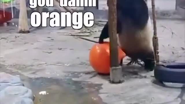 Pure Pandamonium
