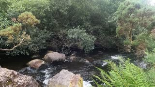 River in Dartmoor. GoPro