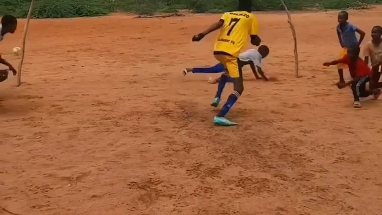 Funny videos