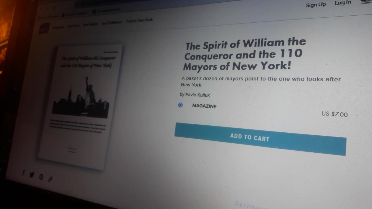 The Mystery of the New York Mayors Named Williams