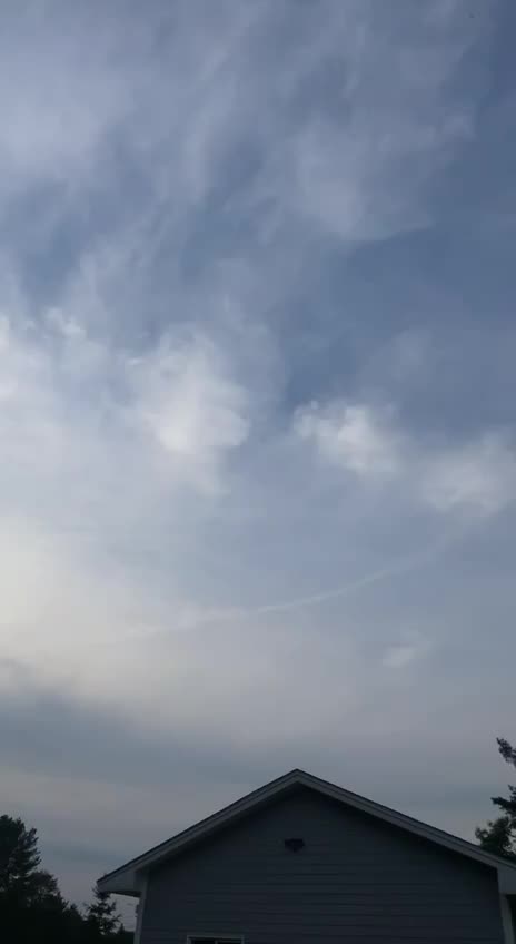 Chemtrails wszędzie rozpylają mieszankę grzybów z toksynami dla Plandemia 2.0. ,