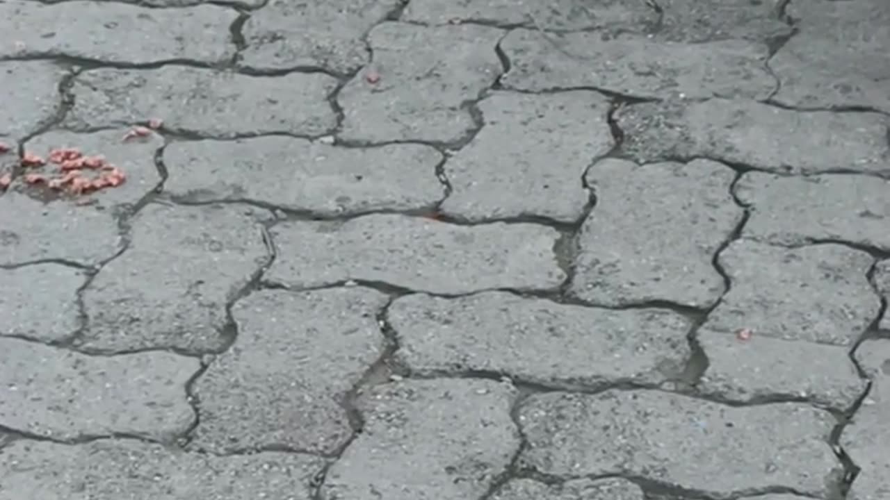 9-51