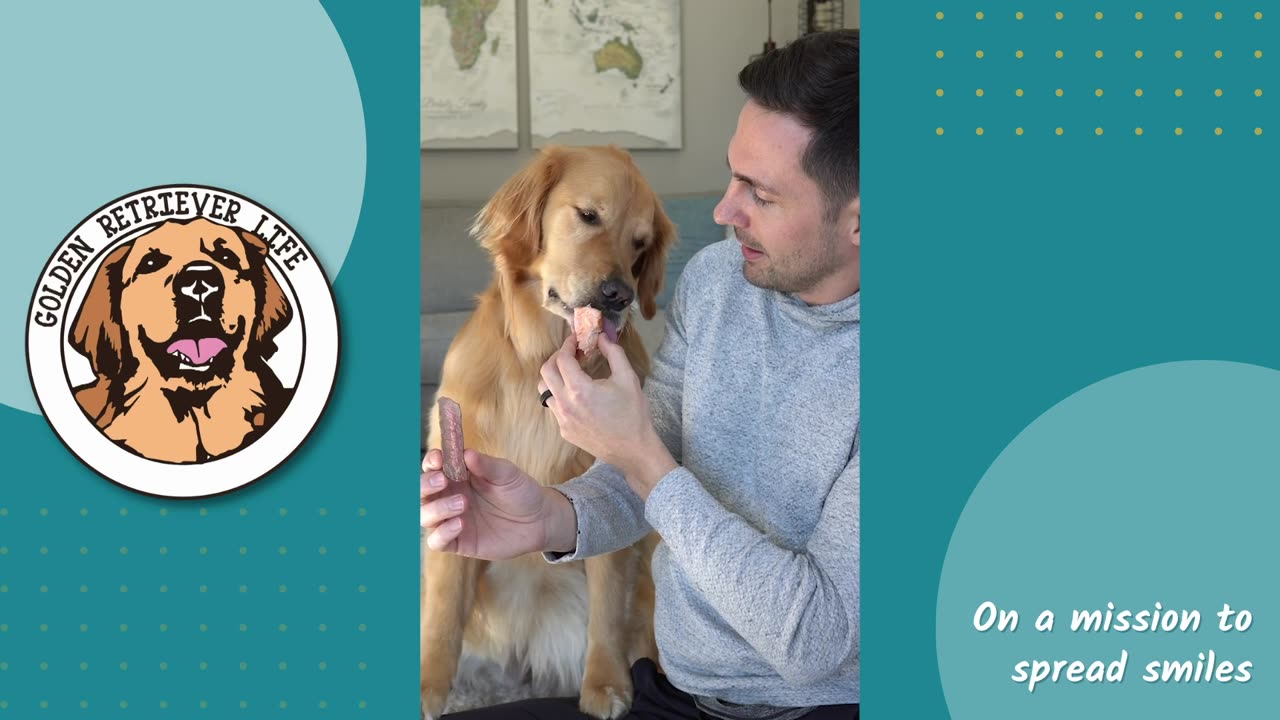 Best Dog Taste Tests of the Year