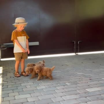 Cute boy play with cute dog kids