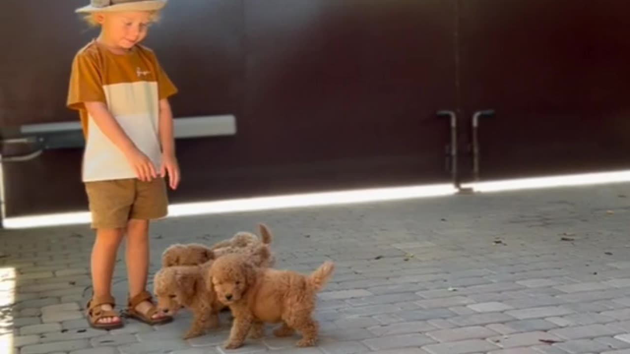 Cute boy play with cute dog kids