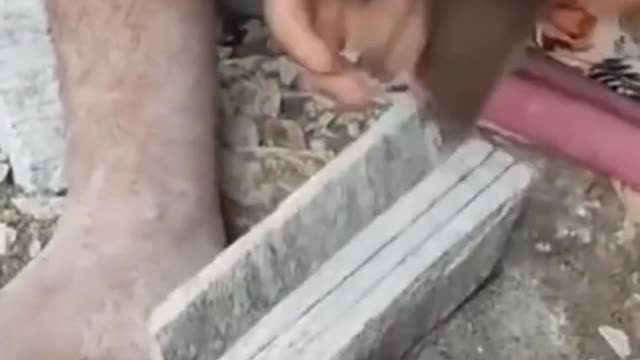 Feet are more useful than hands.