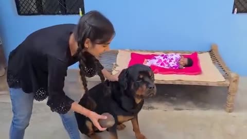 Pet- Black- Dog- Young girl & Baby