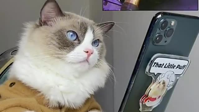 Forgive us for reposting… let’s all enjoy the holiday!!!