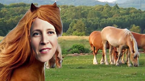 Susan Wojcicki Loves Hay and Oats