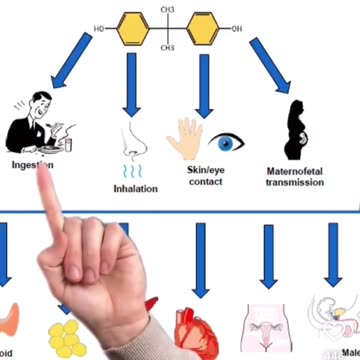 Don't touch a receipt with your bare hands.. idk
