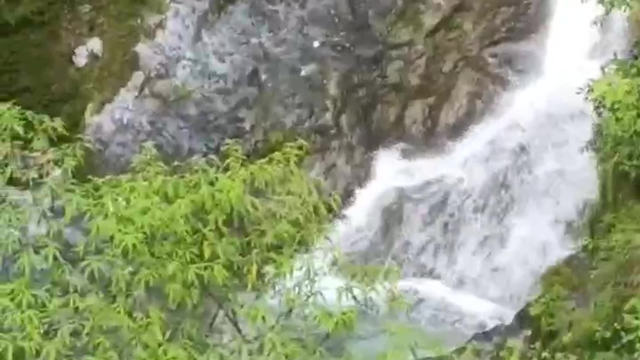 Kimadi waterfall dheradun