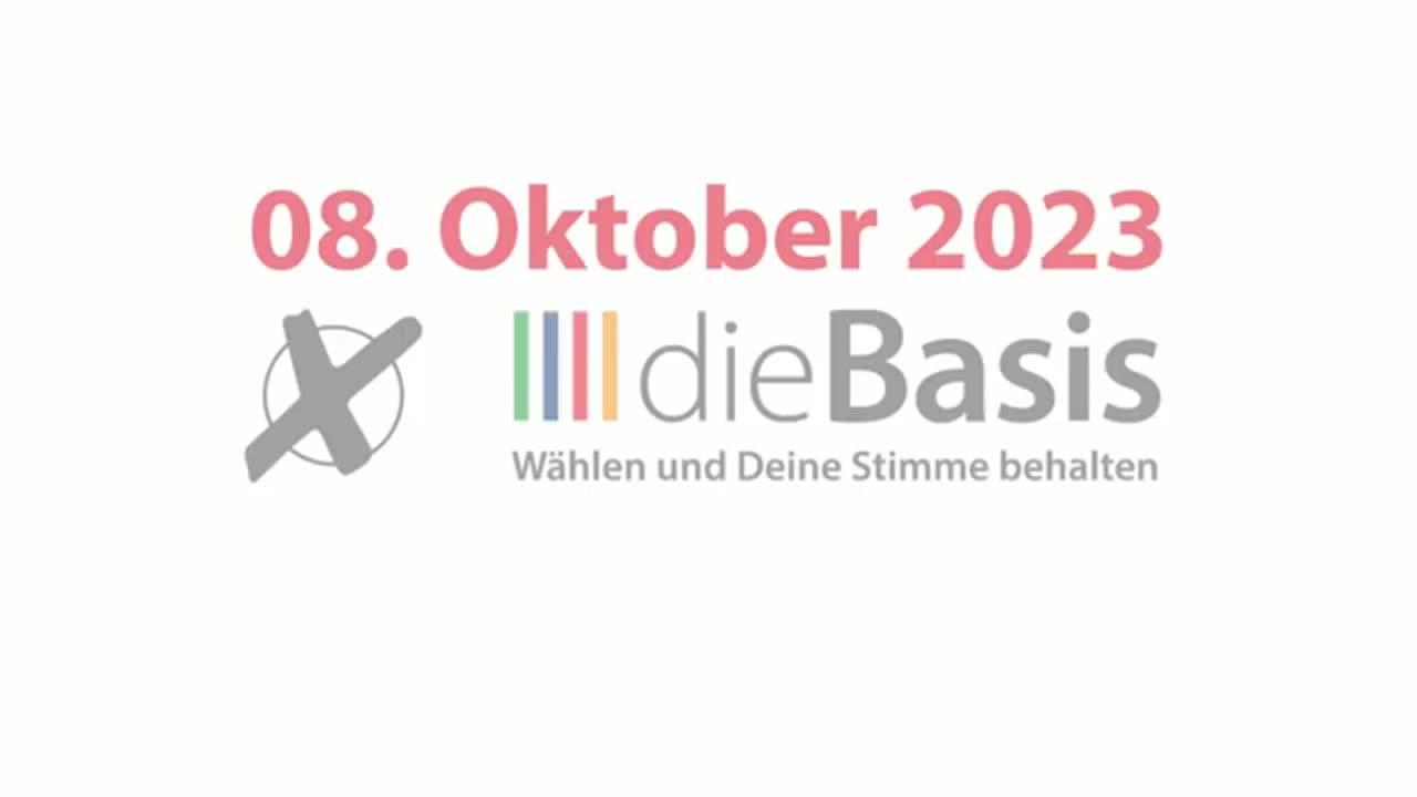 Im Dialog: DieBasis Landesverband Hessen Dr. André Kruschke: So funktioniert Demokratie