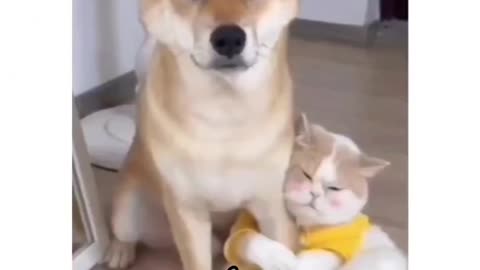 Funny 🥰😘