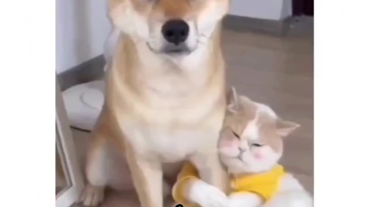 Funny 🥰😘