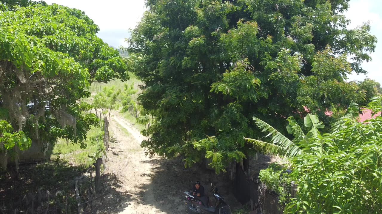 aerial view from a drone