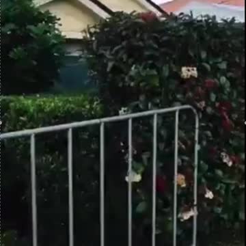 HOMES ARE BEING QUARANTINED IN SYDNEY... THIS IS A RESIDENTIAL NEIGHBORHOOD...