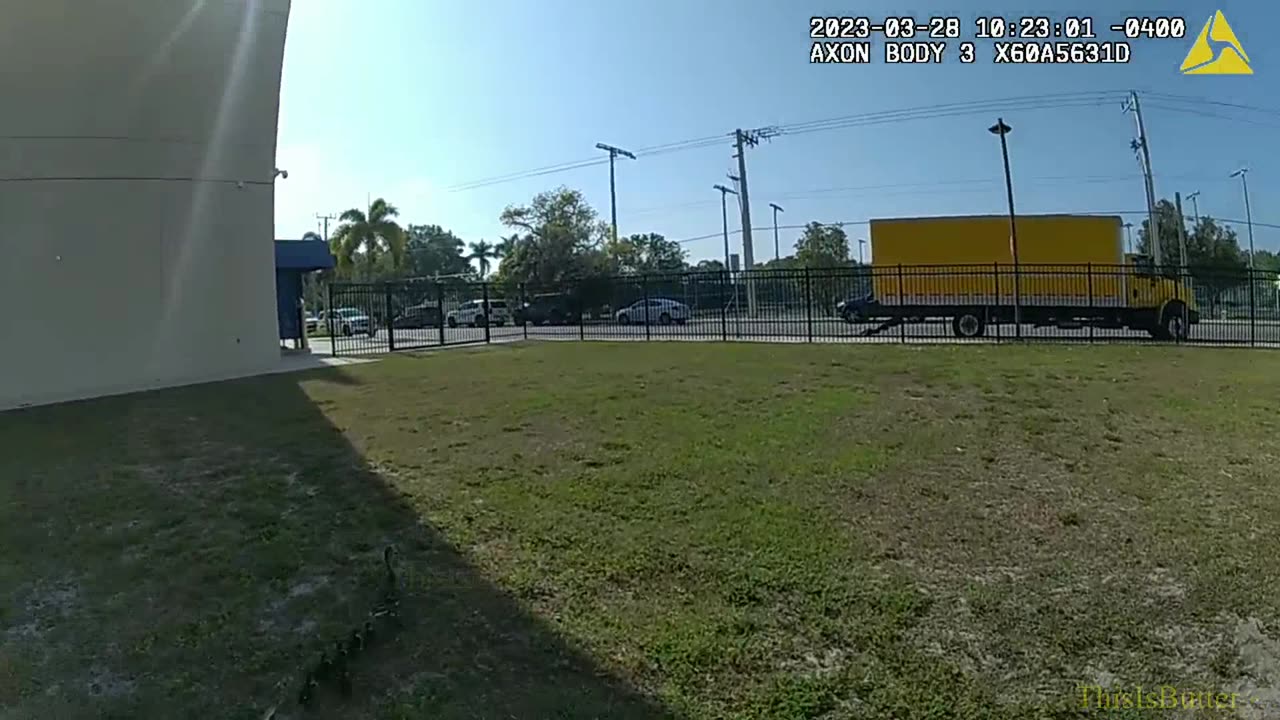 Body cam shows officer guiding mama duck and babies to safety in Sarasota