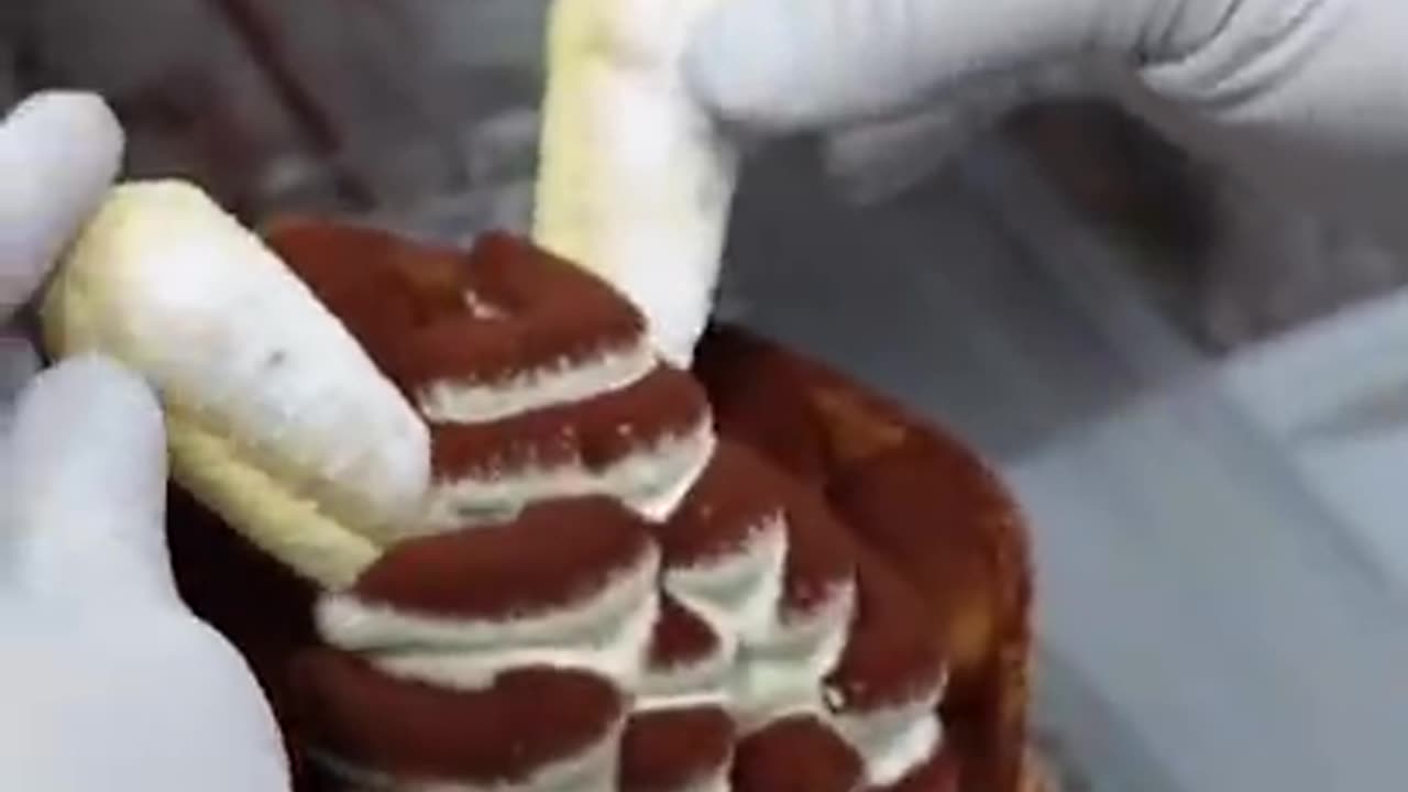 Korean Ice Cream Waffle - Korean Street Food