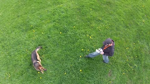 DOG VERSUS DRONE