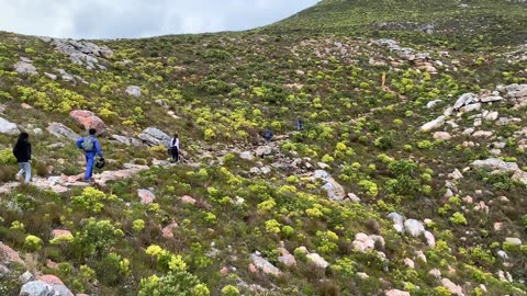 Chapman's Peak Hike