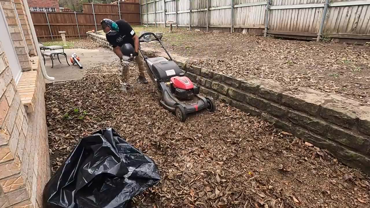 Clean up Snake infested yard, helping elderly neighbor