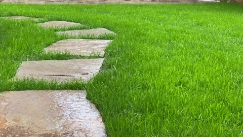 Relaxing Music | Sleeping, Meditation, Stress Relief | [5992] ⭐️