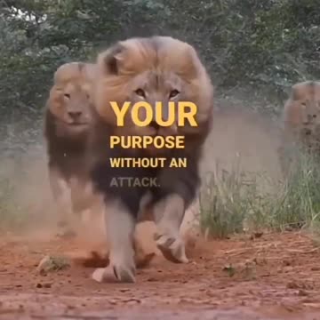 You have PURPOSE