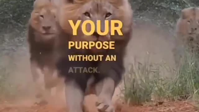 You have PURPOSE