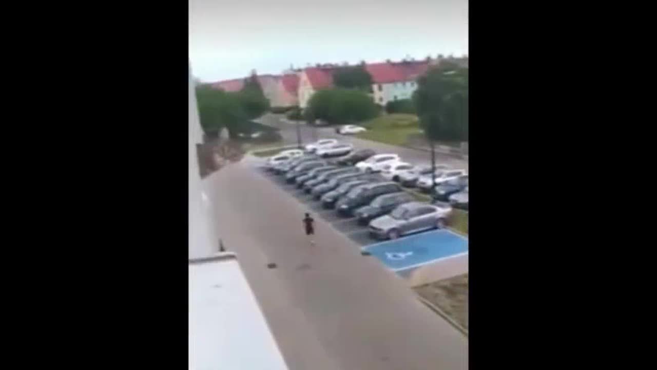 Animal confused behavior!!