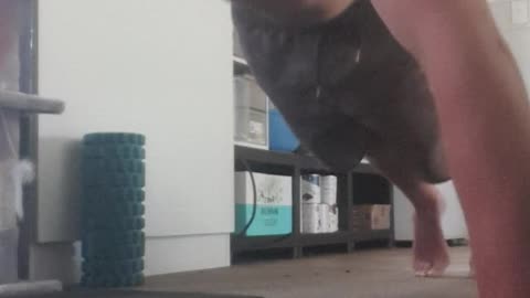 #6 20x3sets 60 pushups