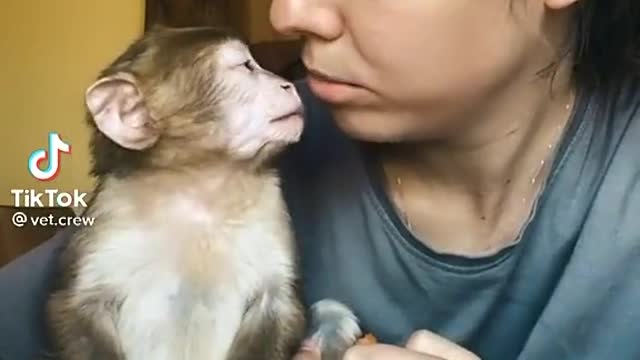 Monkey has an afternoon snacko 🥕