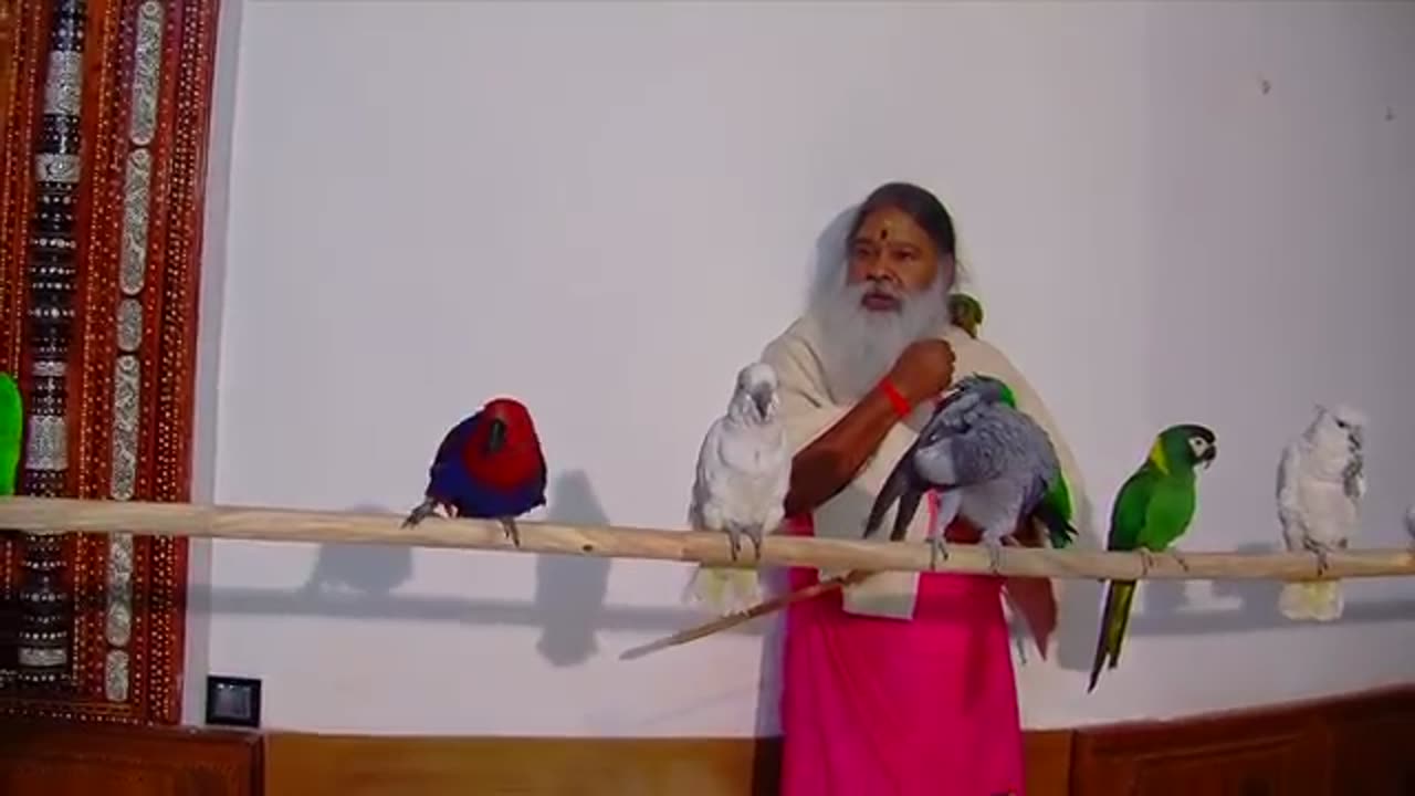 Parrots talking to Gurudeva at Shuka Vana, India