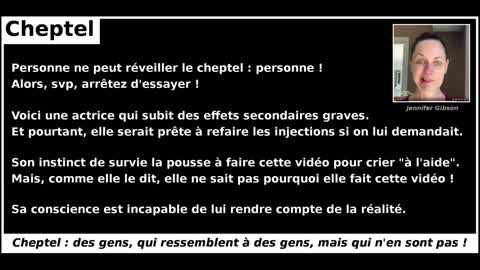 Personne ne peut réveiller le cheptel : personne !