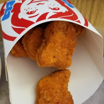 Burger King Hamburger w/ Fries & Wendy's 6 pcs Nugget w/ Frosty