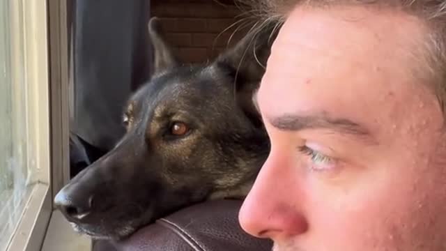 Occasionally doing this with my dog to show l care about his interests too.